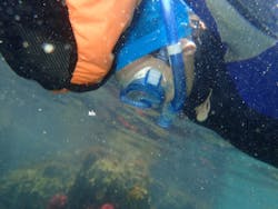 SevenSeasさがみはらに投稿された画像（2024/7/21）