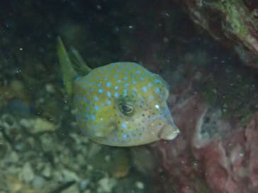 SevenSeasさがみはらに投稿された画像（2024/7/21）