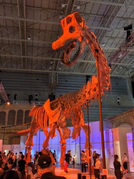 巨大恐竜展2024に投稿された画像（2024/7/21）
