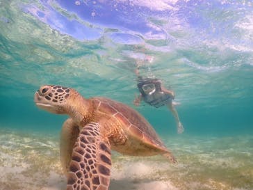 nico 宮古島に投稿された画像（2024/7/21）