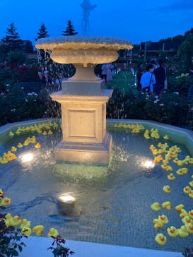 京成バラ園に投稿された画像（2024/7/21）