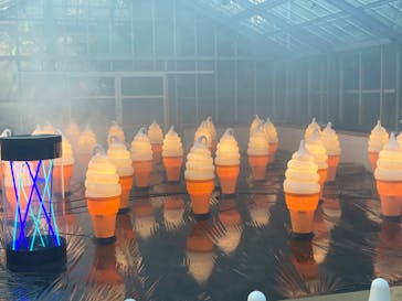 京成バラ園に投稿された画像（2024/7/21）