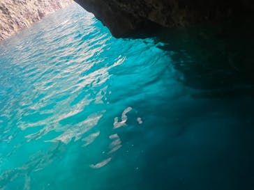 龍宮クルーズに投稿された画像（2024/7/21）