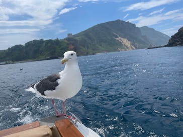 龍宮クルーズに投稿された画像（2024/7/21）