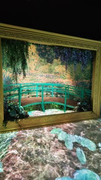 モネ＆フレンズ・アライブに投稿された画像（2024/7/21）