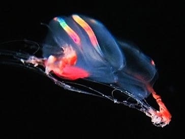 環境水族館アクアマリンふくしまに投稿された画像（2024/7/21）