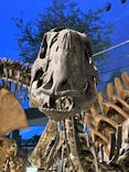 福井県立恐竜博物館に投稿された画像（2024/7/21）