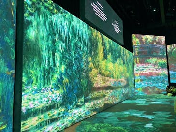 モネ＆フレンズ・アライブに投稿された画像（2024/7/21）