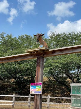 成田ゆめ牧場に投稿された画像（2024/7/21）