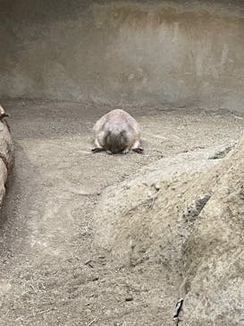 神戸どうぶつ王国に投稿された画像（2024/7/21）