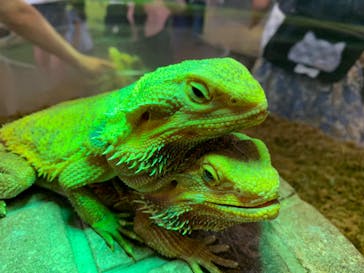 NARA IKIMONO MUSEUMに投稿された画像（2024/7/21）