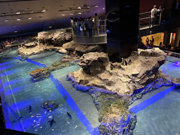 すみだ水族館に投稿された画像（2024/7/21）