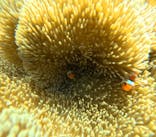  マリンショップHAPPYに投稿された画像（2024/7/21）