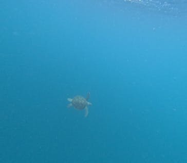  マリンショップHAPPYに投稿された画像（2024/7/21）