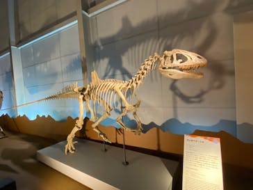 巨大恐竜展2024に投稿された画像（2024/7/21）