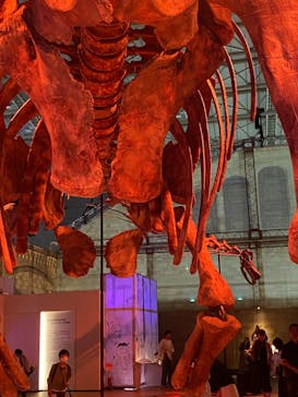 巨大恐竜展2024に投稿された画像（2024/7/21）