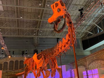 巨大恐竜展2024に投稿された画像（2024/7/21）