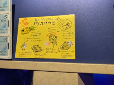 竹島水族館に投稿された画像（2024/7/21）