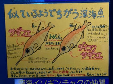 竹島水族館に投稿された画像（2024/7/21）