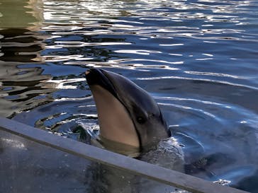 城崎マリンワールドに投稿された画像（2024/7/21）