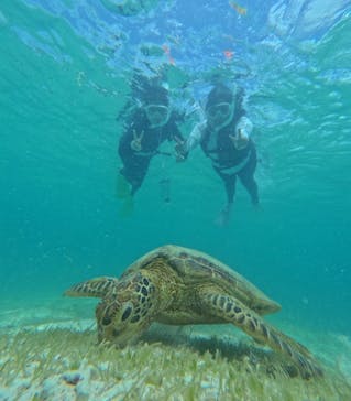 nico 宮古島に投稿された画像（2024/7/14）