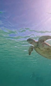 nico 宮古島に投稿された画像（2024/7/14）