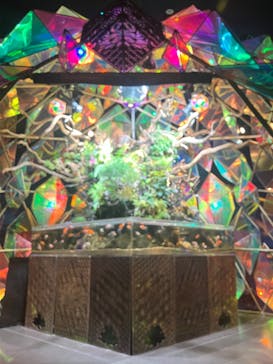 NARA KINGYO MUSEUMに投稿された画像（2024/7/21）