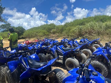 ヤンバルンチャーに投稿された画像（2024/7/21）