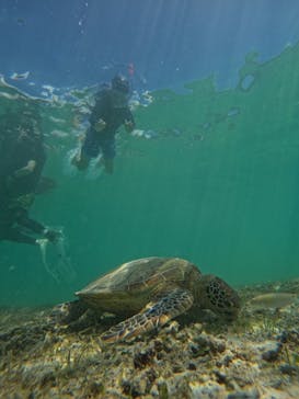 isola blue（イゾラブルー）に投稿された画像（2024/7/21）