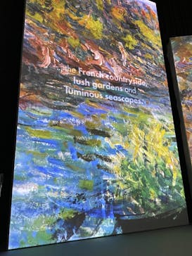 モネ＆フレンズ・アライブに投稿された画像（2024/7/21）