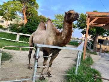 神戸どうぶつ王国に投稿された画像（2024/7/21）