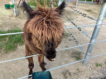 神戸どうぶつ王国に投稿された画像（2024/7/21）
