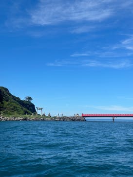 東尋坊観光遊覧船株式会社に投稿された画像（2024/7/21）