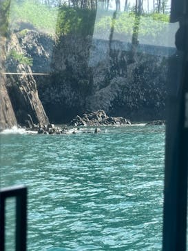 東尋坊観光遊覧船株式会社に投稿された画像（2024/7/21）