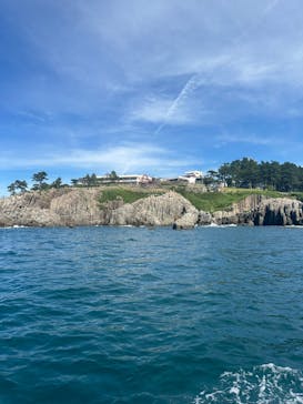 東尋坊観光遊覧船株式会社に投稿された画像（2024/7/21）