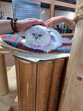 神戸どうぶつ王国に投稿された画像（2024/7/21）