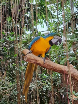 神戸どうぶつ王国に投稿された画像（2024/7/21）