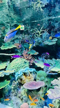 サンシャイン水族館に投稿された画像（2024/7/21）