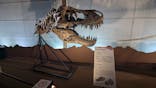 巨大恐竜展2024に投稿された画像（2024/7/21）