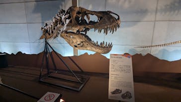 巨大恐竜展2024に投稿された画像（2024/7/21）