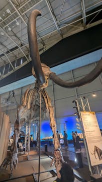 巨大恐竜展2024に投稿された画像（2024/7/21）