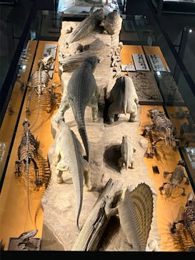 福井県立恐竜博物館に投稿された画像（2024/7/21）