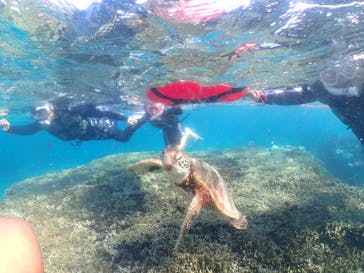 nico 宮古島に投稿された画像（2024/7/21）