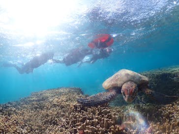 nico 宮古島に投稿された画像（2024/7/21）