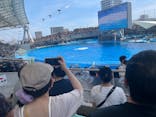 名古屋港水族館に投稿された画像（2024/7/21）