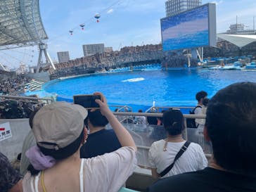 名古屋港水族館に投稿された画像（2024/7/21）