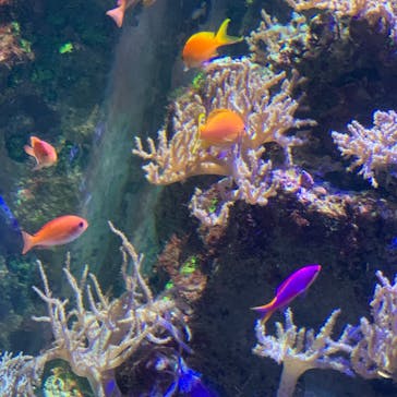 名古屋港水族館に投稿された画像（2024/7/21）