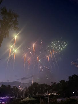 西武園ゆうえんちに投稿された画像（2024/7/21）