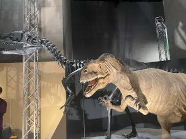福井県立恐竜博物館に投稿された画像（2024/7/21）