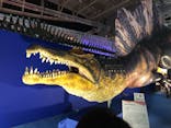 巨大恐竜展2024に投稿された画像（2024/7/22）